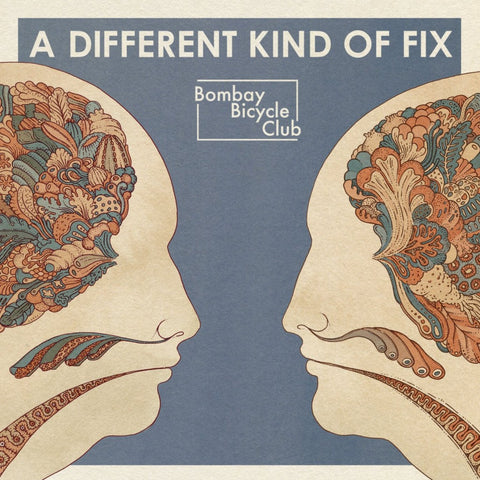 Bombay Bicycle Club ‎– A Different Kind Of Fix (12" Vinyl LP)